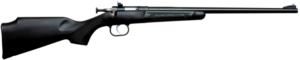 .22LR Youth Rifle